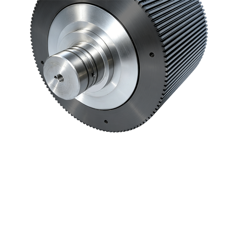 High Productivity Pellet Mill Parce Ring Die Roller Testa Conventus